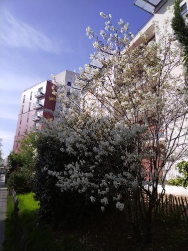 Privilodges Lyon - image 6
