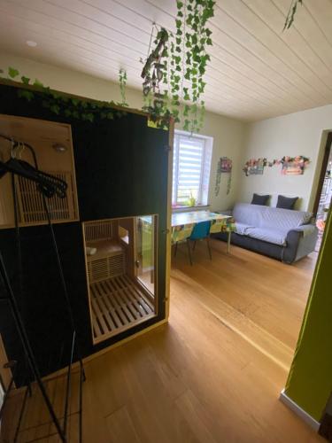 Szauna, Le CLARA in Saales