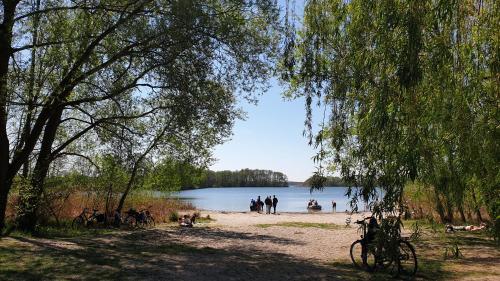 Hotel Am Wald - image 2