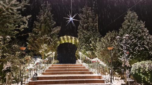 Hotel Am Wald - image 14