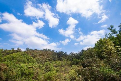 Hillside Retreat, Ponda, Goa