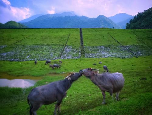 Ha Giang Xanh Homestay, Motorbikes and Loop Tours