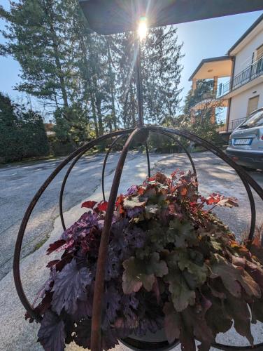 Paradeisos Residence Sas - image 7