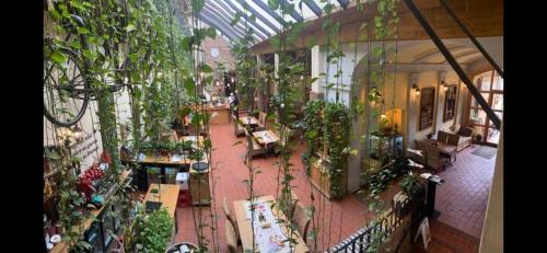 Pensiunea Gasthaus Alte Post 3