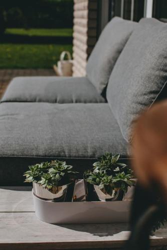 grădină, Bungalow mit Basketballplatz in Lemgo