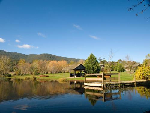 Sanctuary Park Cottages - Accommodation - Healesville