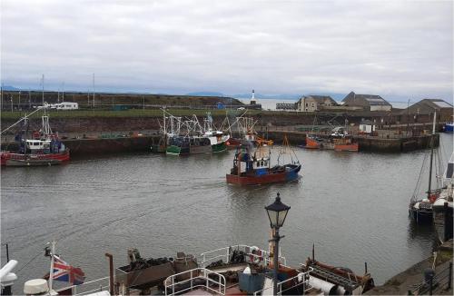 Harbour Side Maryport - image 10