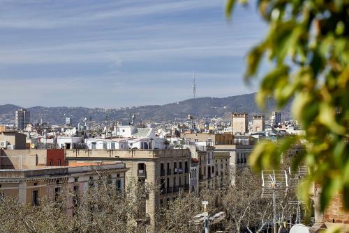 Flor Parks - image 7