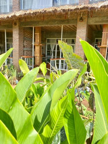 Mount Kilimanjaro 360 view Cottage