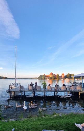 Stilingi apartamentai su virtuve Trakų miesto centre