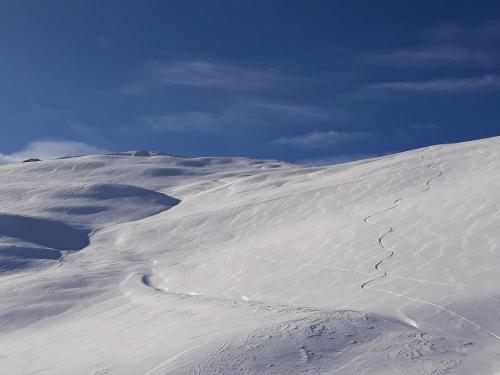 Vallee Blanche - C2 - Studio pied piste - 4 pers in Les Deux Alpes