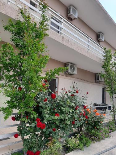 STUDIOS MONA in 아클라디온