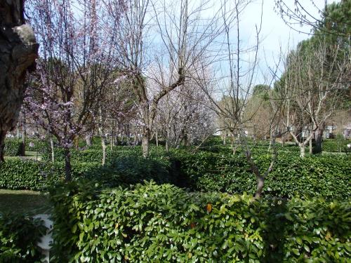 Camping Village la Chiocciola