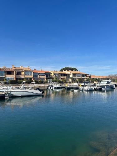 Maisonnette bord de Lagune et Plage St Cyprien in Saint-Cyprien