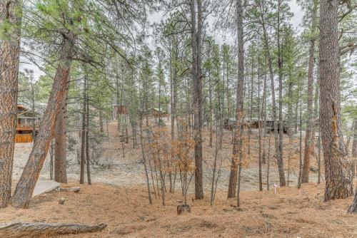 Pet-Friendly Ruidoso Studio about 5 Mi to Alto Lake! Pet-Friendly Ruidoso Studio about 5 Mi to Alto Lake!