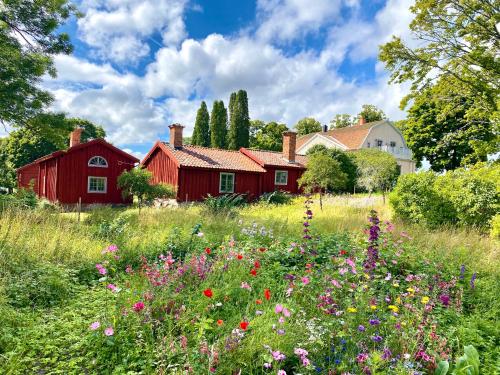 Heritage-listed country cottages