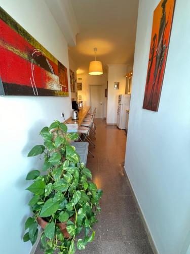 B&B Birba 5