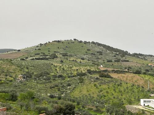 Casa da Avó Maria, Largo de Santo António, n 97395AL