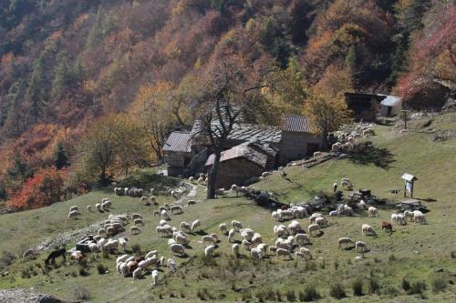 Alloggio in Montagna in Roure