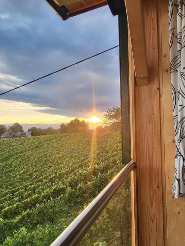 Ferienhaus Urschitz in Sankt Johann im Saggautal