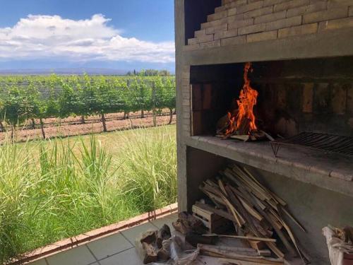 Finca, La Joya