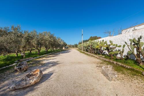 Agriturismo Masseria Carrone