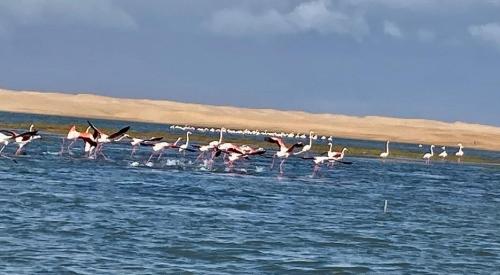 La Courbine d'Argent in 아크펜니르