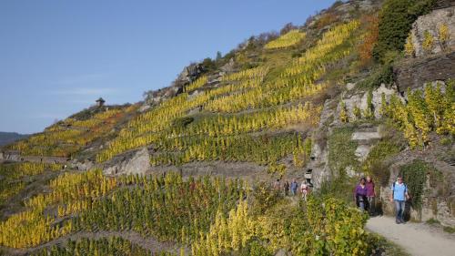 Hotel Pinger - image 3