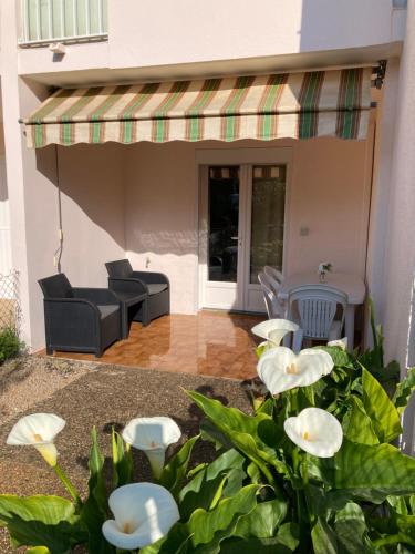 Studio Sanary avec jardin Proche Plage - Location saisonnière - Sanary-sur-Mer