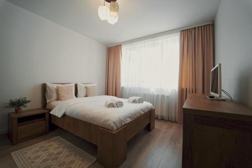 Luxury Apartament Ultracentral of Suceava Esplanada