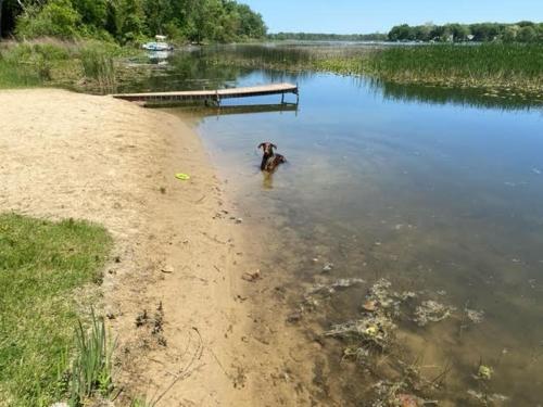 Cozy Lakefront Studio On Long Lake! home