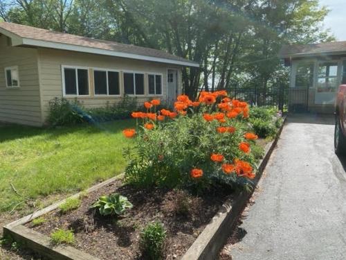 Cozy Lakefront Studio On Long Lake! home