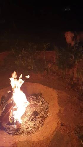 Eco casa en plena naturaleza, con comida incluida