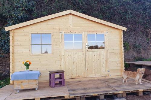 Eco casa en plena naturaleza, con comida incluida