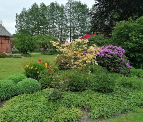 景觀, Ferienwohnung am Teich in 貝格/易北河