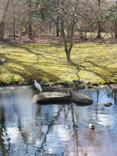 The Pond House, close to Rowayton station in Norwalk, USA