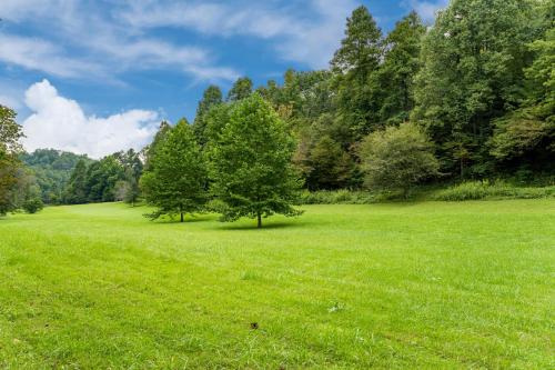 Glade Meadow