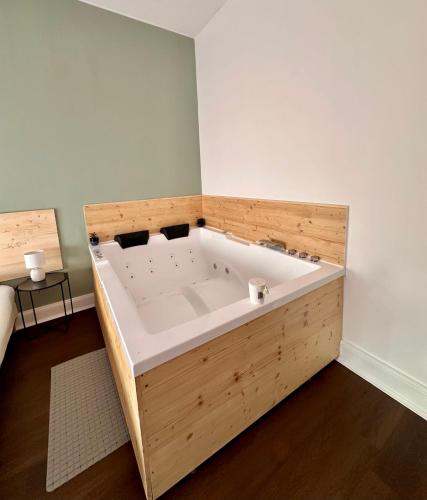 Nancy-Place A0 Grand Appartement Jaccuzi et extérieur Thermal Artem à 200m - image 4