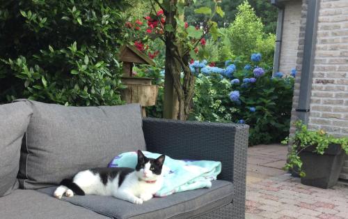 Dārzs, Koekwhouse Bed and Breakfast, Bierbrouwerij in Wouwse Plantage