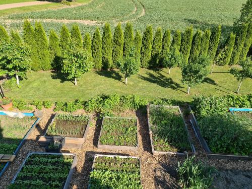 Agroturystyka „Między Polami”