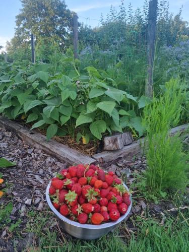 Agroturystyka „Między Polami”