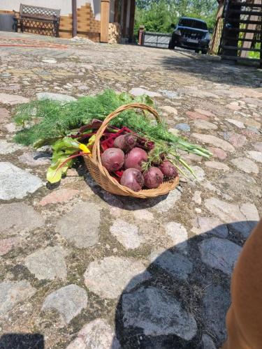 Agroturystyka „Między Polami”