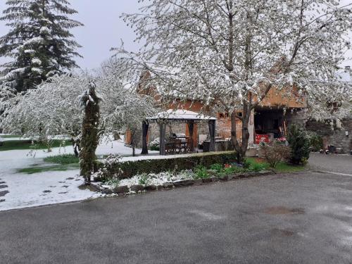 gite du sapin vert gîte à louer Sailhan