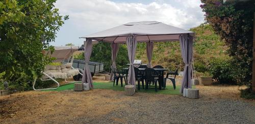 Dārzs, Charmant T3 en rez de jardin d'une villa in Pietroso