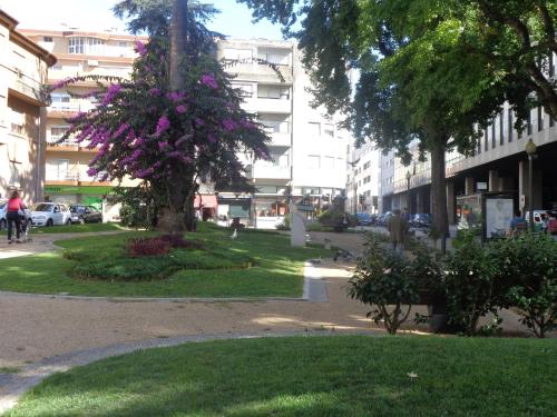 Portuense Alojamento Local 5