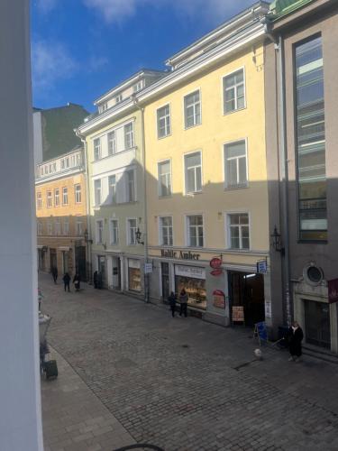 Antique Aparment In Old Town, Tallinn (photo 4)