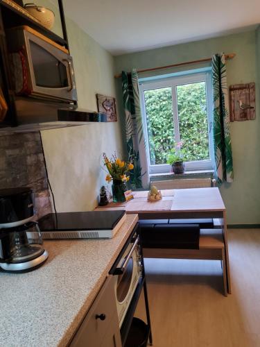 Studio-Apartment mit kleinem Gartenanteil, Burg auf Fehmarn (foto 8)