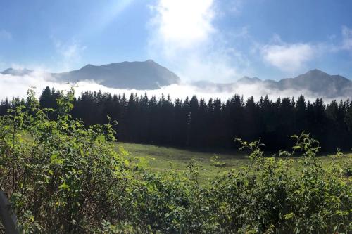 Ciasa Mia Nelle Dolomiti