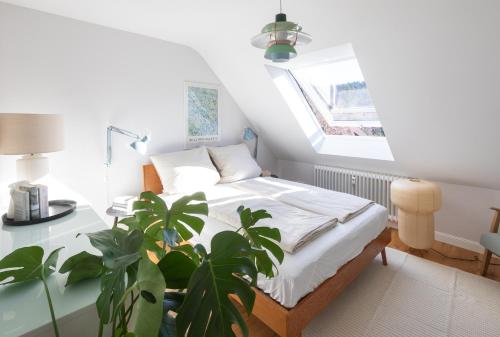 WÄLDER: Quartier Birkle in Titisee WÄLDER: Quartier Birkle in Titisee