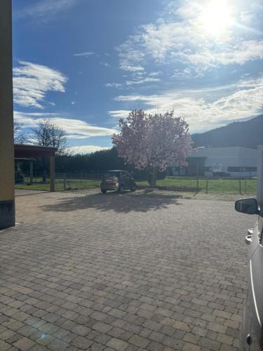 Small apartments in Lamone in Lugano